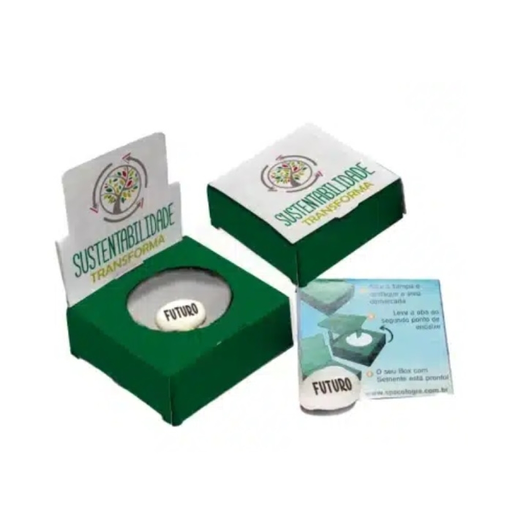 Caixinha Surpresa-BCSP155